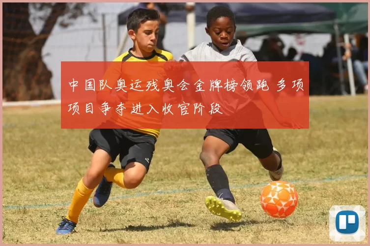 中国队奥运残奥会金牌榜领跑 多项项目争夺进入收官阶段