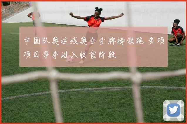 中国队奥运残奥会金牌榜领跑 多项项目争夺进入收官阶段